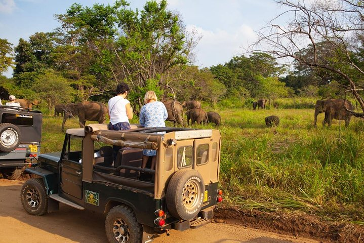 Private Wildlife Safari to Hurulu Eco Park - Photo 1 of 6